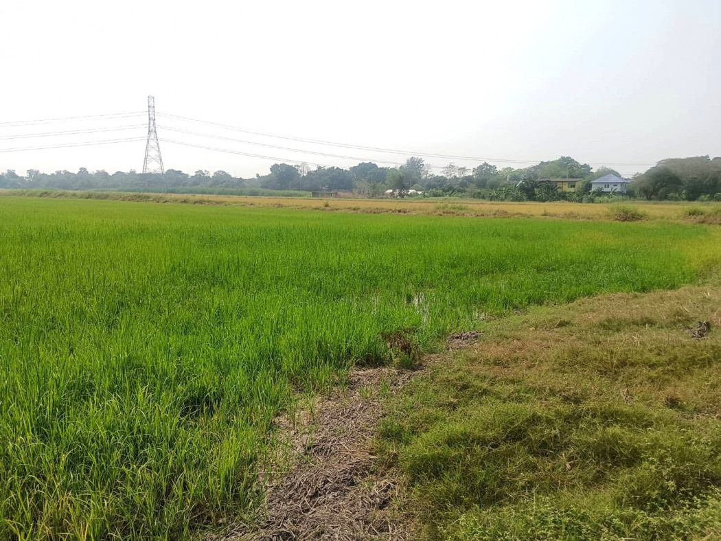 Land for sale, area 38 rai 11 square wa, next to Wat Sukjai Road, Khlong Sam Wa District, Bangkok – รูปที่ 4