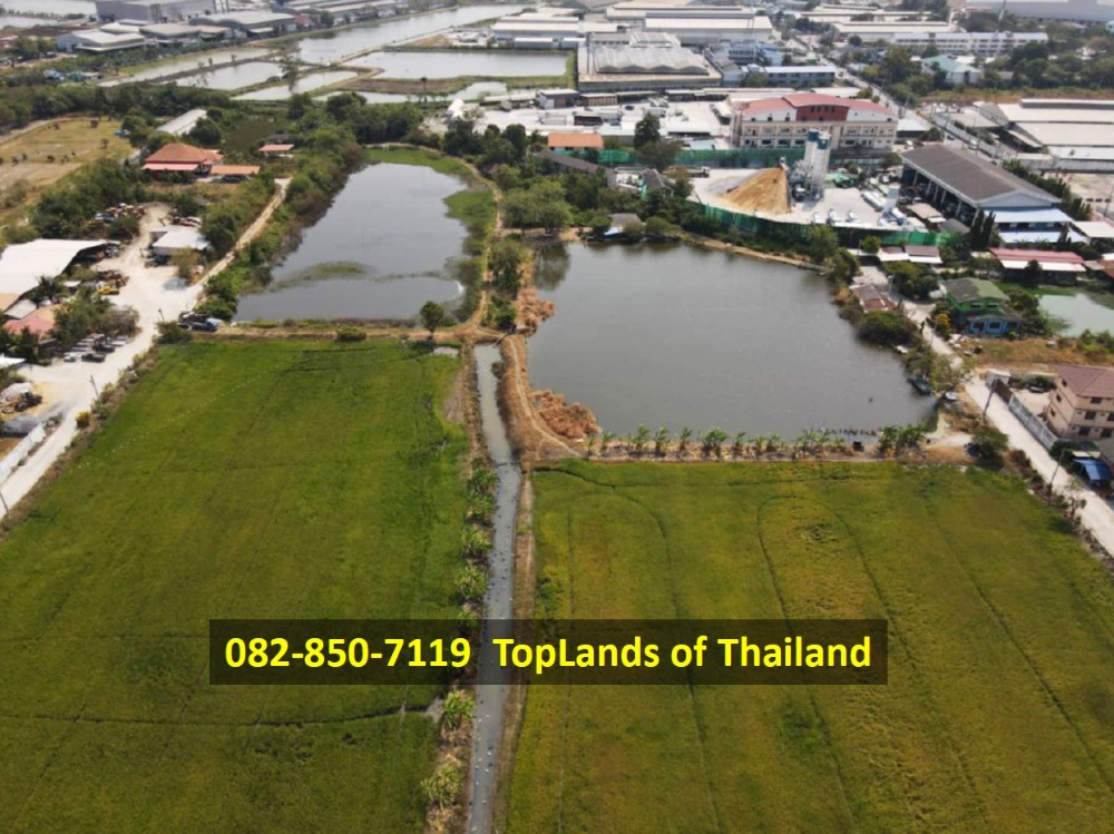 ขาย ที่ดิน บางเสาธง จ.สมุทรปราการ ถนนบานา-ตราด เนื้อที่ 33 ไร่ เหมาะสร้าง โรงงาน โกดัง และคลังสินค้า – รูปที่ 4