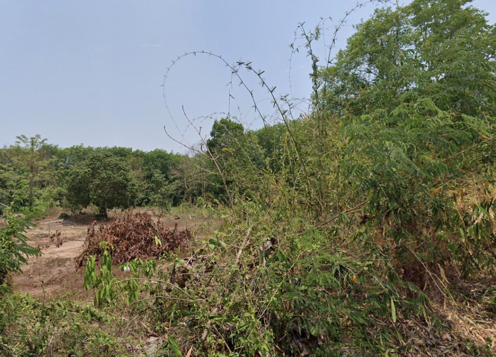 Land for sale in Nan Province Land for sale in Nan Province