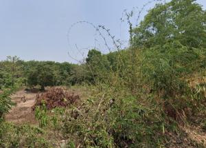 ขายที่ดินจังหวัดน่าน