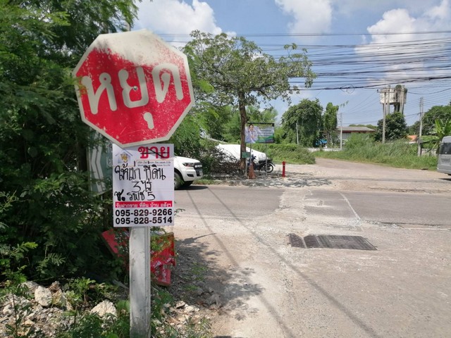 Land for rent, 2 plots, each plot is 1-1-74 rai, just 50 meters into the alley, at the entrance of the alley there is a 7-Eleven, Songprapa-Don Mueang, Lak Hok, Pathum Thani – รูปที่ 4