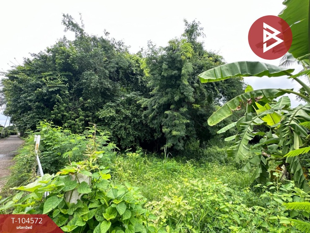 ขายที่ดิน เนื้อที่ 1 ไร่ 87 ตร.วา บ้านโป่ง ราชบุรี – รูปที่ 3