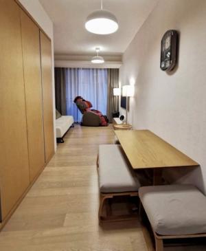⭐️(A0113) For Sale 🏢 Siamese Gioia Price 4.15 MB