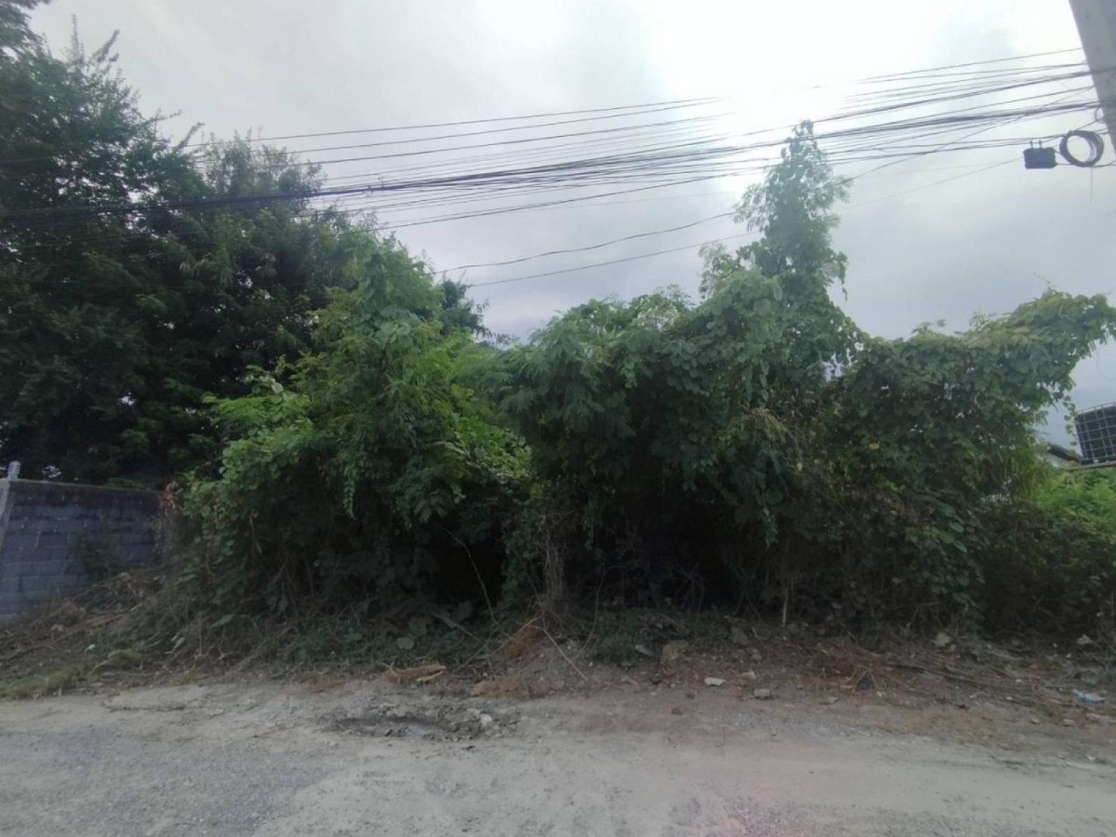 ขายขายที่ดินเปล่า ติดถนนสุขุมวิท บางนา เขต บางนา กรุงเทพ CX-114929