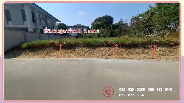 ขายที่ดินดอนเมือง 100 และ 94 ตรว.ถมสูงกว่าถนน 1 เมตร แปลงมุม ติดถนนซอย 2 ด้าน ซ.เทิดราชัน 27แยก20 ดอนเมือง กรุงเทพ – รูปที่ 2