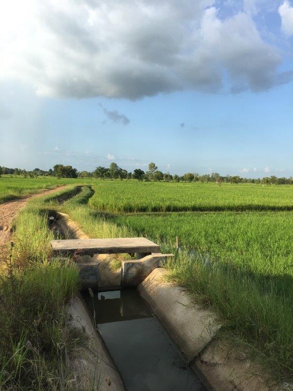 ชายที่ดิน 6ไร่ 3งาน อยู่บ้านค้อ ตำบลยางตลาด อำเภอยางตลาด กาฬสินธุ์ – รูปที่ 2