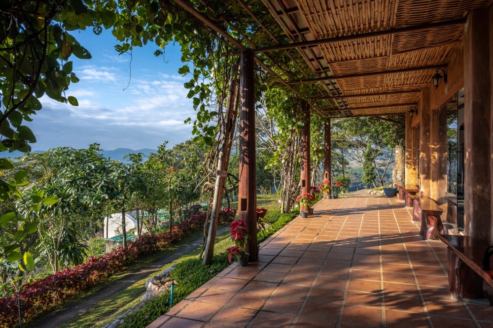 ขายด่วน!!! บ้านภูไพโรจน์ สไตล์ Homy Resort วิวภูเขา @ดอยแม่สลอง เชียงราย 🌿✨ ขายด่วน!!! บ้านภูไพโรจน์ สไตล์ Homy Resort วิวภูเขา @ดอยแม่สลอง เชียงราย 🌿✨