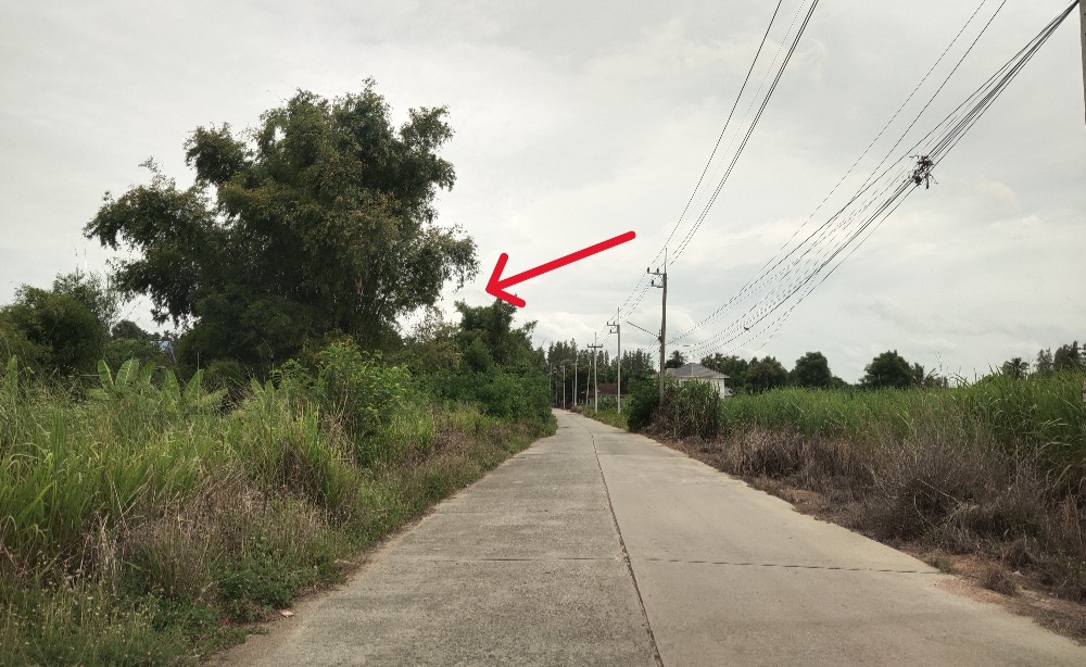 Land for sale, 16 rai, Nong Phai Kaew Subdistrict, Ban Bueng District, Chonburi Province, 700 meters from Road 344.