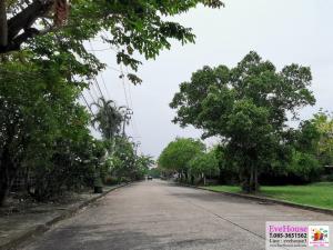Land for sale, Windmill Park Village, Private Zone.414 sq.wa. Bangna