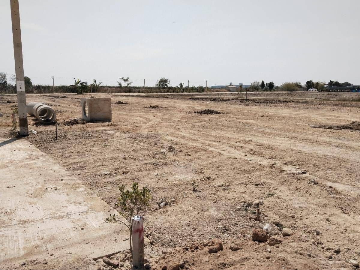 Land for sale, 228 sq.w., almost on the main road, wide frontage, Tambon Bang Pla, Amphoe Bang Phli, Samut Prakan Province, the front is on a concrete road, near the main road, the price includes filling, electricity, water ready. – รูปที่ 3