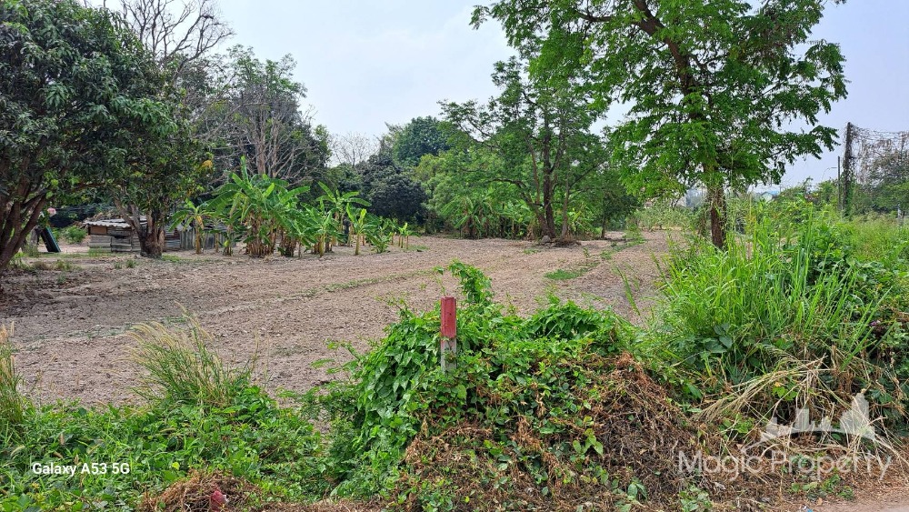 ขายที่ดิน 7 ไร่ ในจังหวัดชลบุรี อำเภอบางละมุง จังหวัดชลบุรี