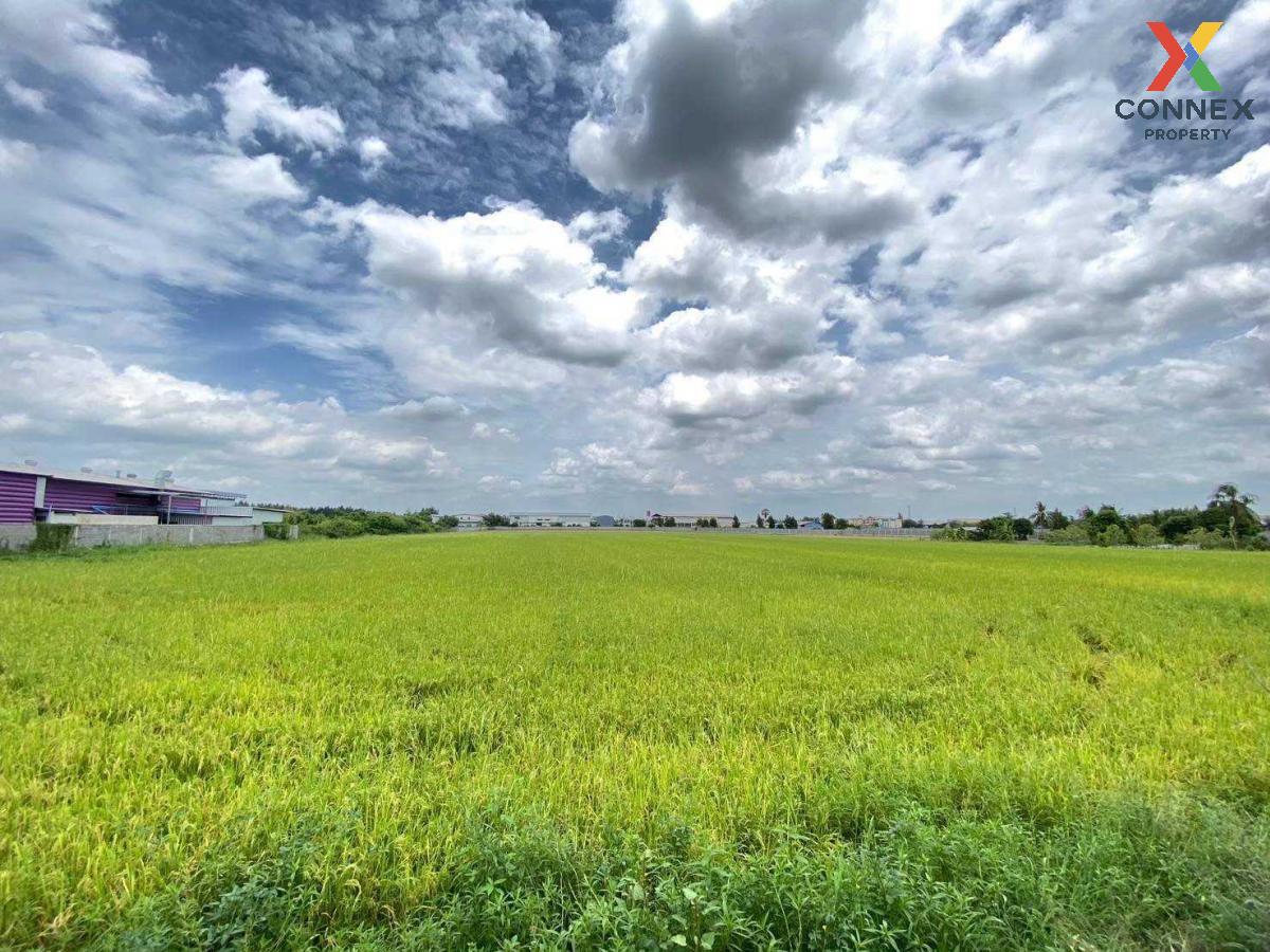 Land for sale, good location in Sam Khok, Pathum Thani. , Thai Ko , Sam Khok , Pathum Thani , CX-115364 Land for sale, good location in Sam Khok, Pathum Thani. , Thai Ko , Sam Khok , Pathum Thani , CX-115364