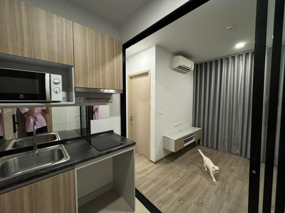 🔥ขายด่วนราคาร้อน BRIXTON Pet & Play Sukhumvit 107 🔥