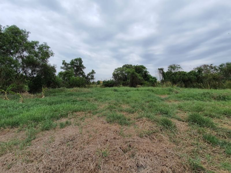 Land for sale 2 rai Soi ABAC Bangna Garden Village 10