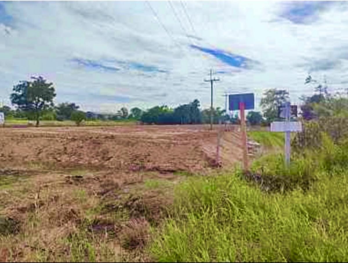 3 rai of land for sale on Doi 3048 road near Bang Pa -in Industrial Estate 15 kilograms – รูปที่ 2