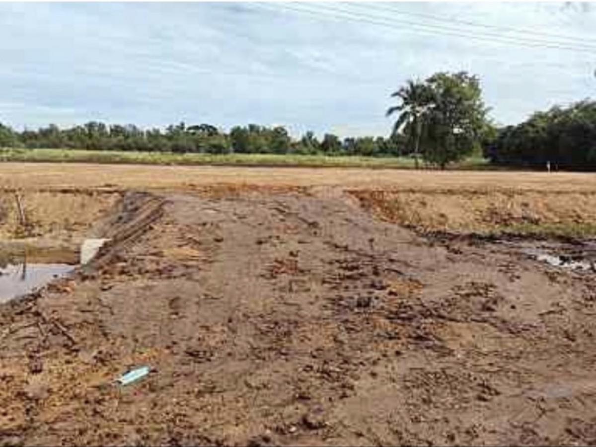 3 rai of land for sale on Doi 3048 road near Bang Pa -in Industrial Estate 15 kilograms – รูปที่ 3