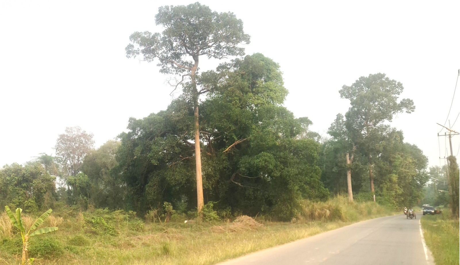 Land for sale next to the Mekong River Mueang Bueng Kan District, Bueng Kan Province – รูปที่ 3