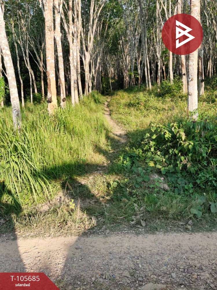 ขายที่ดินพร้อมสวนยาง เนื้อที่ 10 ไร่ 2 งาน 98 ตร.วา บางขัน นครศรีธรรมราช – รูปที่ 4