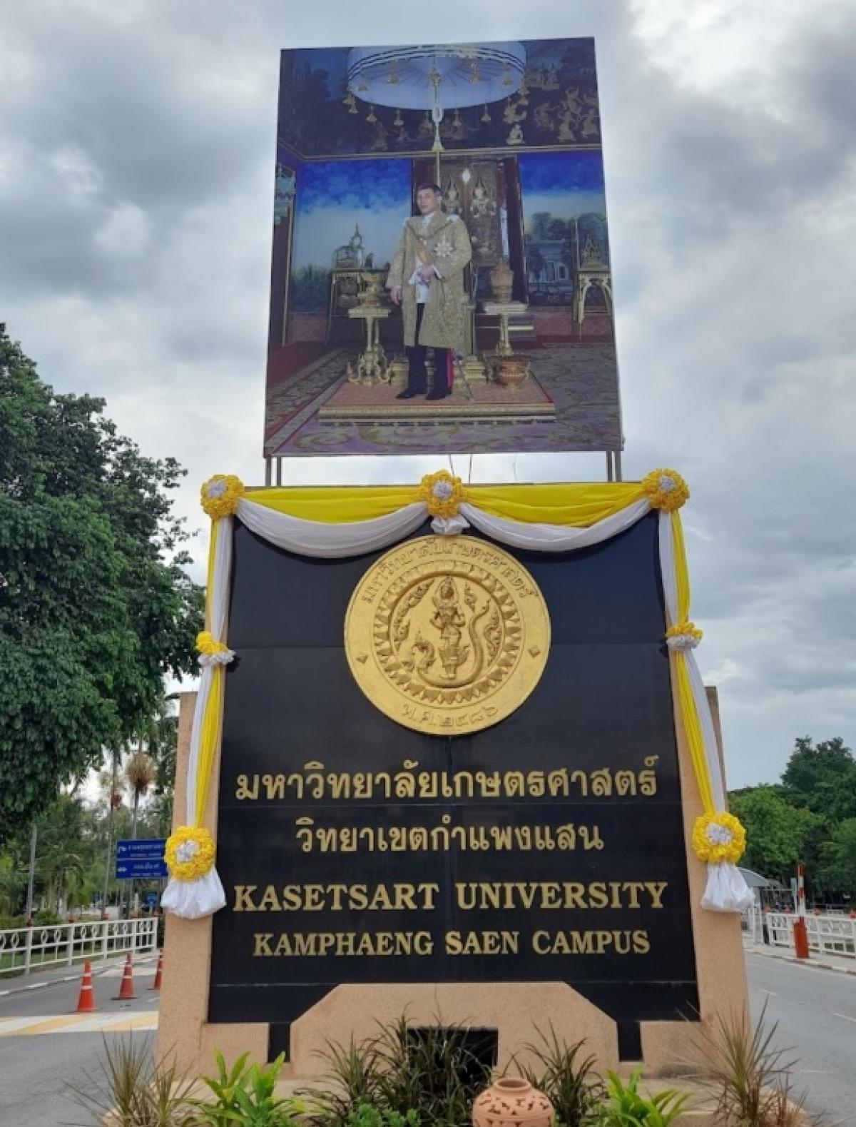 ขายอพาร์ทเม้นท์ใกล้ #มหาวิทยาลัยเกษตรศาตร์ กำแพงแสน นครปฐม 86 ห้อง  เนื้อที่435 ตรวผู้เช่าเกือบเต็ม ผลตอบแทนการลงทุน7-8%สนใจโทร 096-9364595 คุณติ๊ก