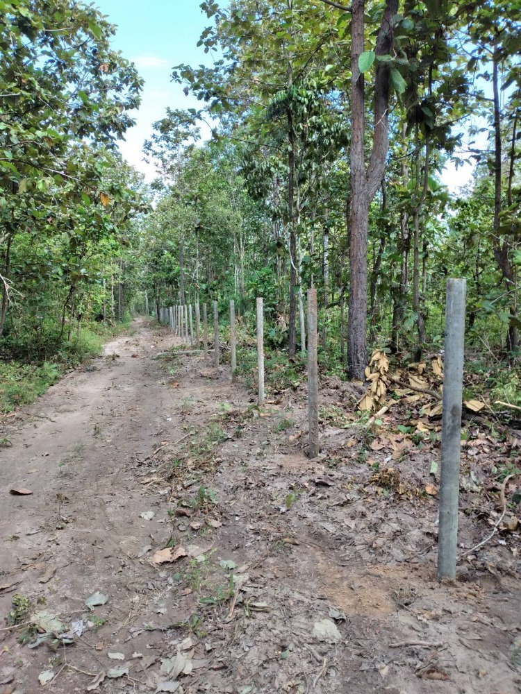 ขายที่ดิน 7 ไร่ 0 งาน 0.3 ตร.ว. ติดปั๊ม PT ห้างฉัตร ใกล้ถนนไฮเวย์ลำปาง-เชียงใหม่ – รูปที่ 2