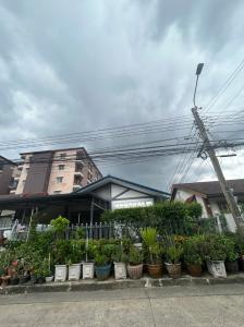 ให้เช่าบ้านเดี่ยวชั้นเดียว 50 วา 3 นอน 2 น้ำ แอร์ 4 เครื่องเฟอร์นิเจอร์บางส่วน จอดรถ1 คัน เช่า 20,000 บาทต่อเดือน