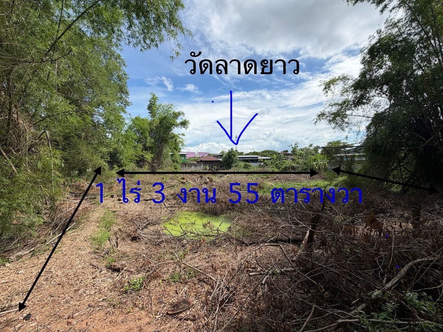ขายที่ดินหลังวัดลาดยาว อำเภอลาดยาว จังหวัดนครสวรรค์(ขายต่ำกว่าราคาประเมินที่ดิน) – รูปที่ 4