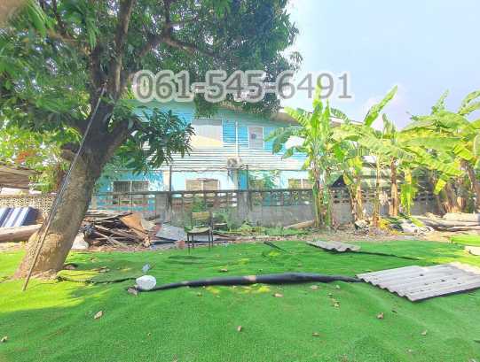 ขาย ที่ดิน 54 ตรว. อ่อนนุช 66 แยก 19-7 สวย ทำเลดี เหมาะปลูกบ้าน – รูปที่ 3
