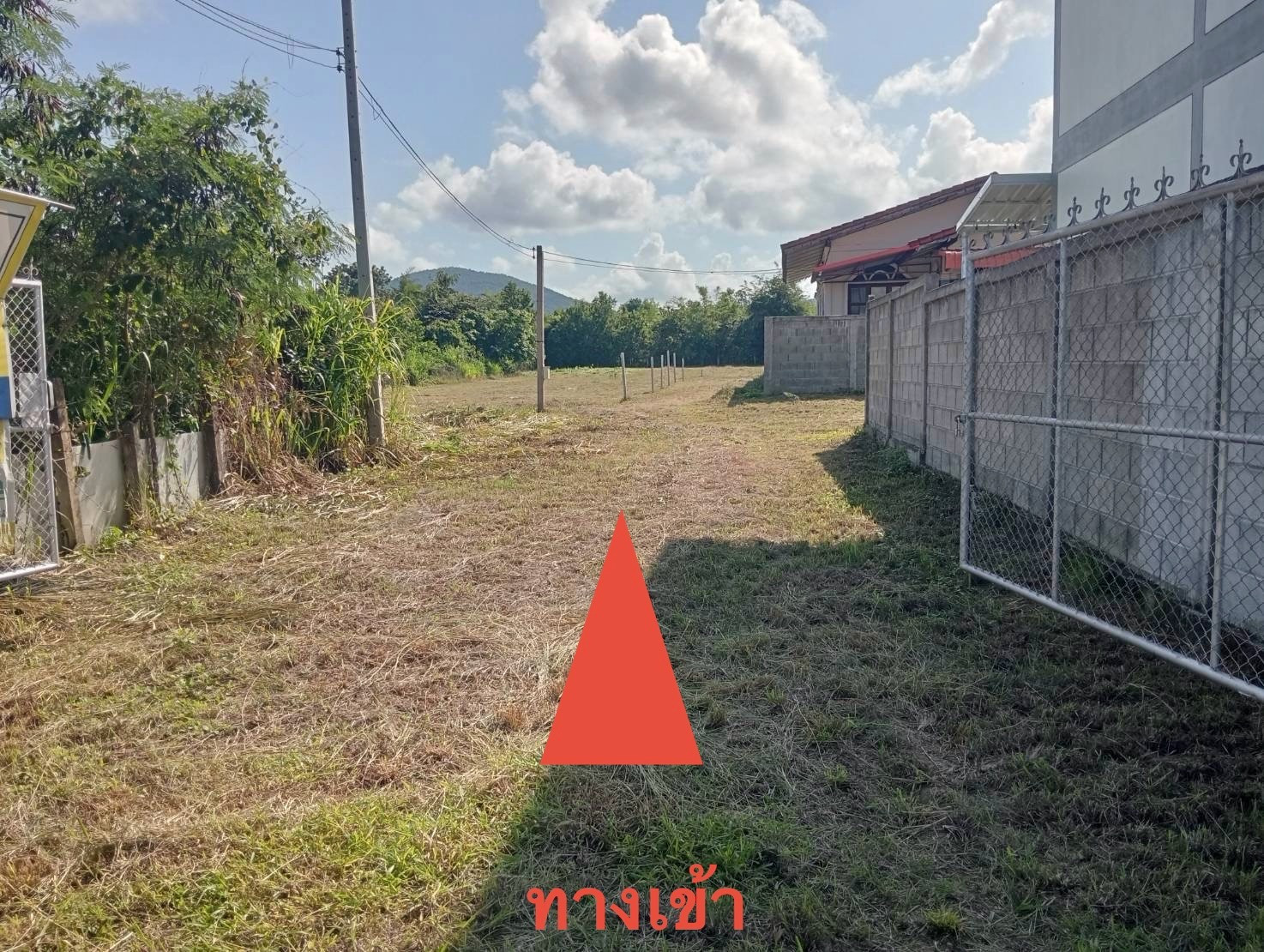 ขายที่ดินพร้อมบ้าน บ้านโฮ่ง ลำพูน 5.9 ล้าน | 2 ไร่ 3 งาน 54 ตรว. | ติดถนน 4 เลน – รูปที่ 2