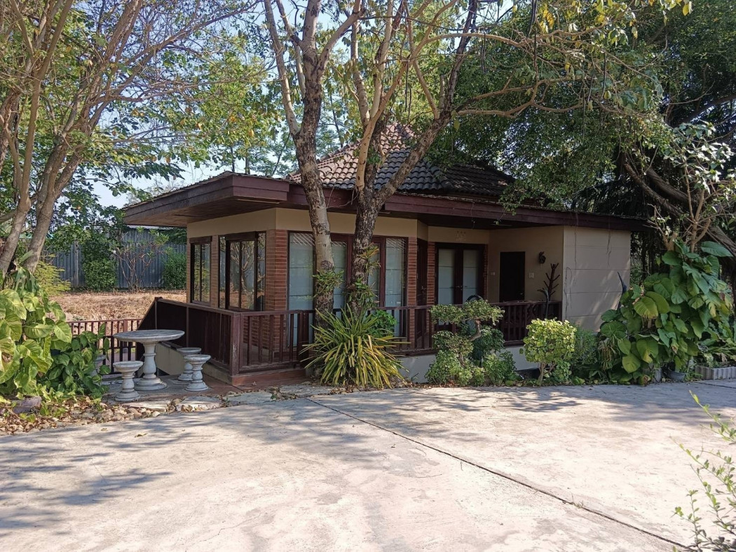 Land for sale with house, area 19-3-66 rai, Tung Luang Subdistrict, Pak Tho District, Ratchaburi – รูปที่ 4