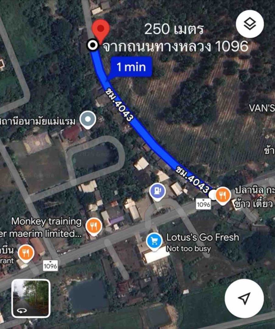 ขายที่ดินแม่ริม เชียงใหม่ เกือบ3ไร่ 250 ม. จากทางหลวง โซนท่องเที่ยวธรรมชาติ รีสอร์ท4-5ดาว ราคาดีมาก, เชียงใหม่ – รูปที่ 3