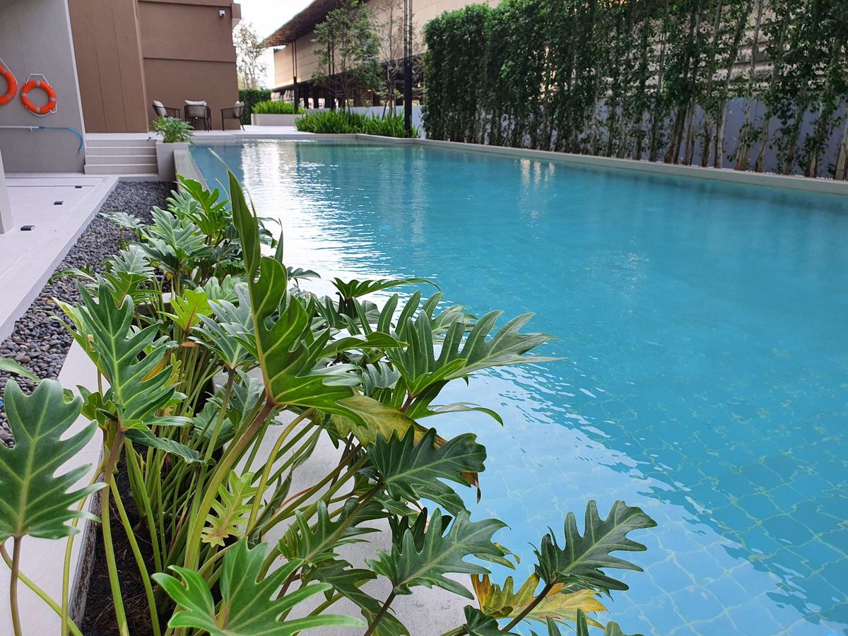 🔥Urgent for rent, new room ready to move in 🔥Condo Niche Mono Sukhumvit - Pu Chao, starting rent 13,000 baht/month, accepting both Thais and foreigners (with rental contract for 6 months / 1 year) RentNex By Sena