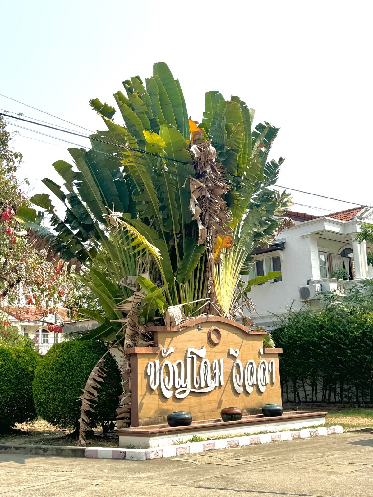 ขาย/เช่า บ้านพร้อมที่ดิน