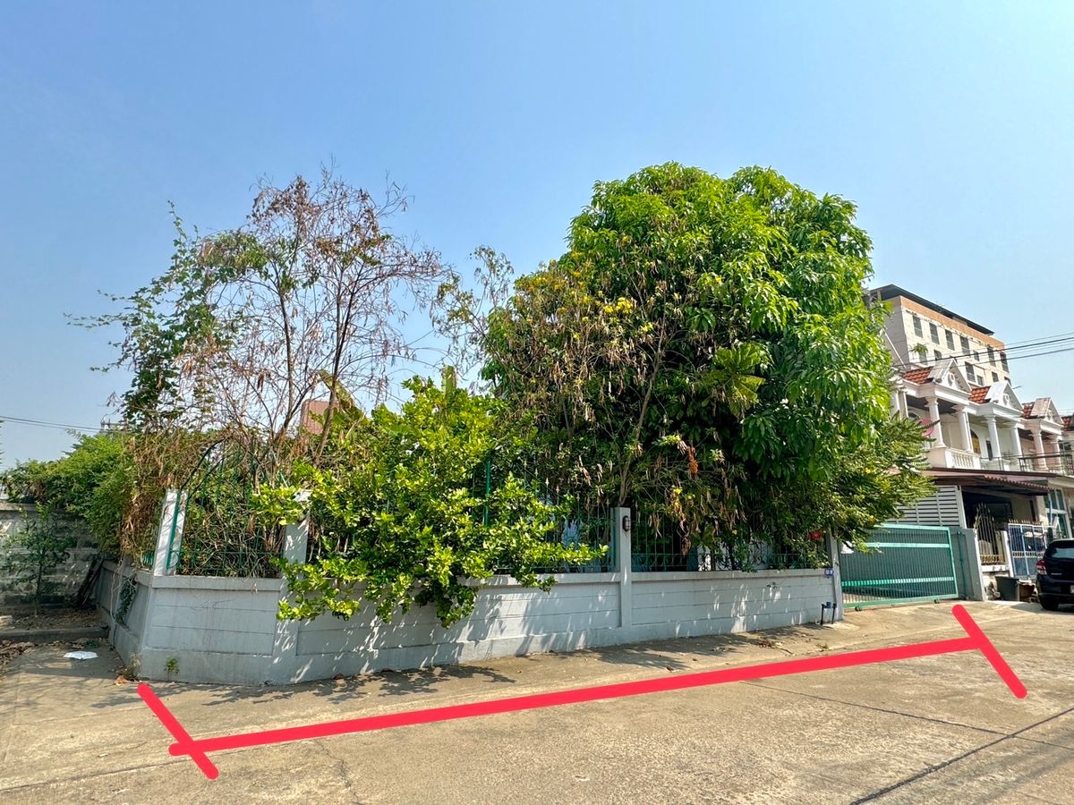 ขาย/เช่า บ้านพร้อมที่ดิน – รูปที่ 3
