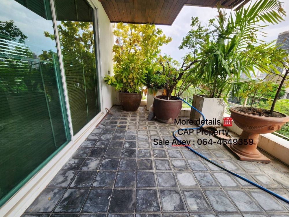 ( SELL - 30 MB )🐱🐶 Pet Friendly @BTS Prompong (2 Bed 280 Sqm) Large Living Room – รูปที่ 3