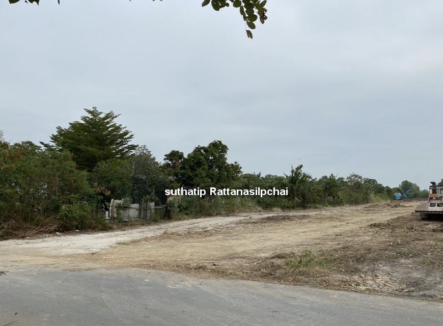 ขายที่ดิน  ทำเลดี ติดถนน ต.บัวปากท่า อ.บางเลน  จ. นครปฐม โครงการจัดสรรบ้านญี่ปุ่น – รูปที่ 3