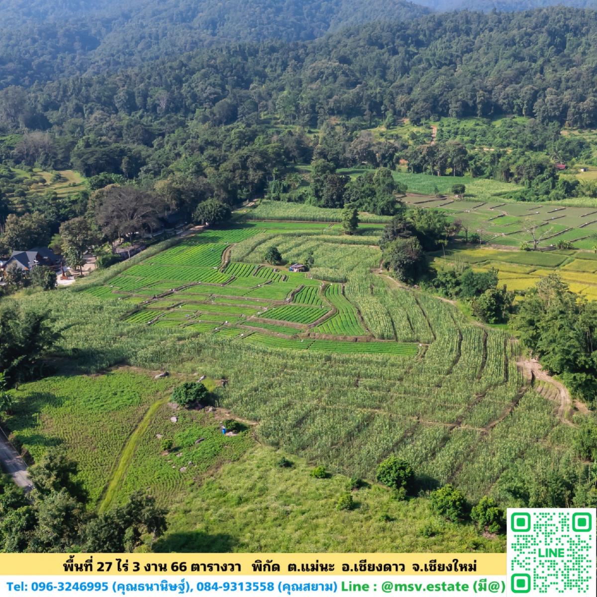 Golden Land near Doi Luang Chiang Dao The best location in Chiang Dao – รูปที่ 4