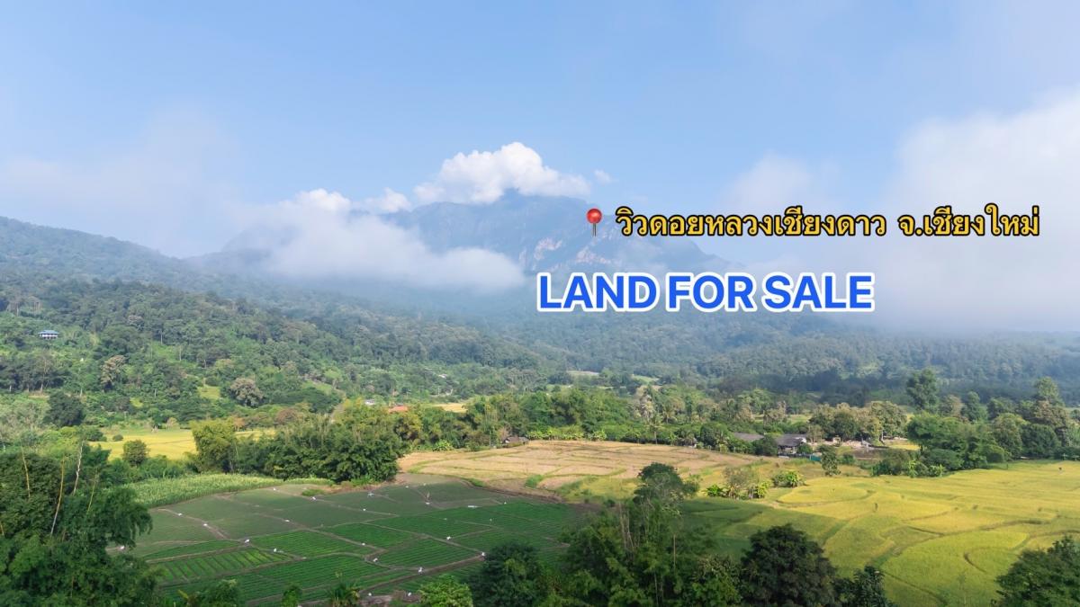 ที่ดินทำเลทองใกล้ดอยหลวงเชียงดาวแบบexclusive ทำเลที่ดีที่สุดในเชียงดาว ที่ดินทำเลทองใกล้ดอยหลวงเชียงดาวแบบexclusive ทำเลที่ดีที่สุดในเชียงดาว
