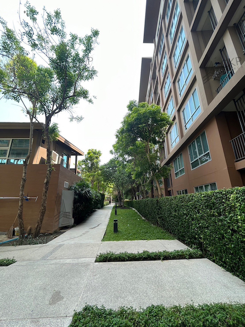 คอนโด บ้านทิวลม ชะอำ ห้อง studio ใกล้หาดชะอำและตัวเมืองชะอำ ไม่ไกลจากถนนเพชรเกษม – รูปที่ 3