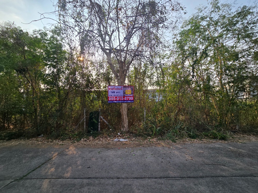 Beautiful plot of land, area of ​​149 square wah, Soi Rangsit-Nakhon Nayok 62, beautiful converted – รูปที่ 2