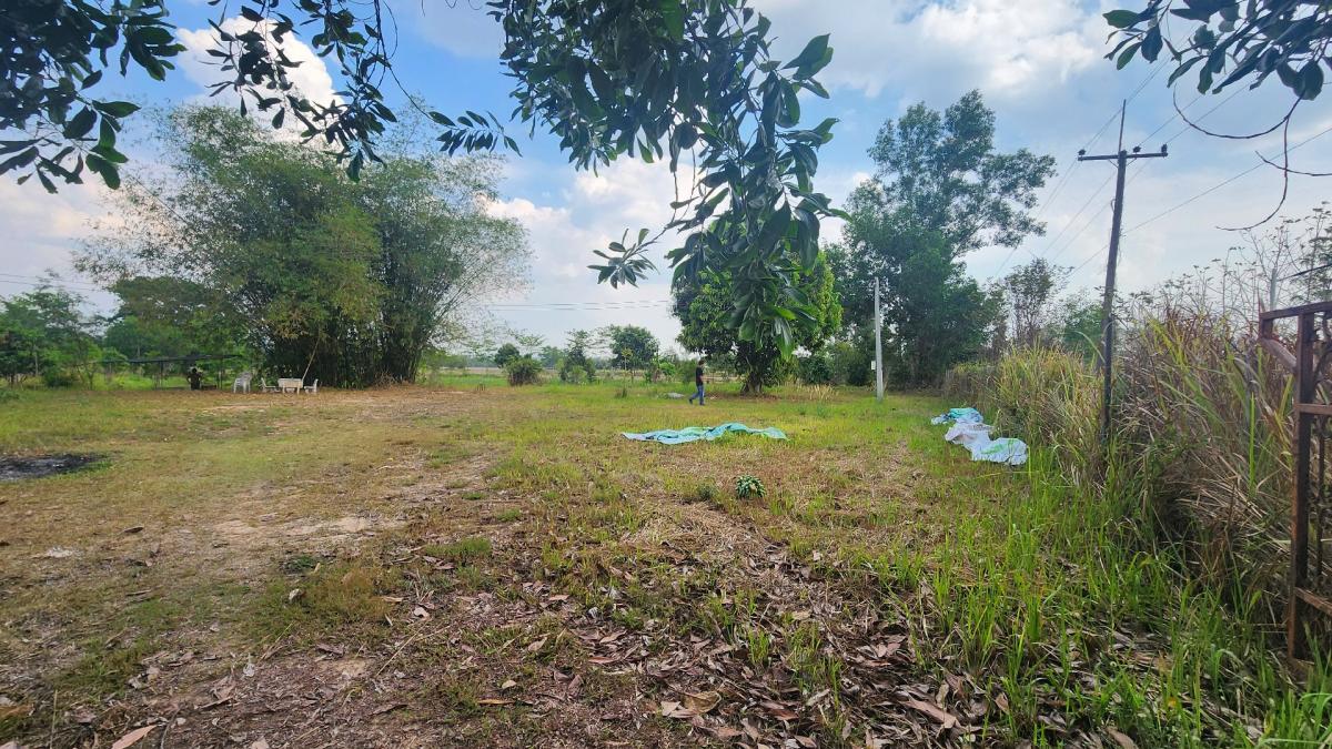 ขายด่วนที่ดินถมแล้ว ปากพลี นครนายก แปลงสวยขนาด 4 ไร่ 41.9 ตร.ว. ติดถนน – รูปที่ 4