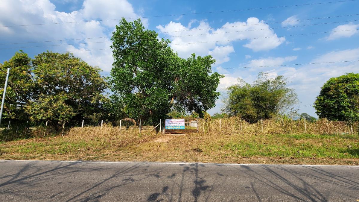 ขายด่วนที่ดินถมแล้ว ปากพลี นครนายก แปลงสวยขนาด 4 ไร่ 41.9 ตร.ว. ติดถนน – รูปที่ 2