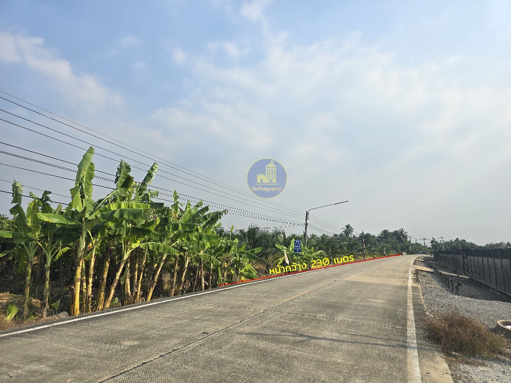 ขายที่ดิน 9-1-74 ไร่ ติดถนนวัดท่ากระบือ-คลองใหม่ ใกล้วัดท่ากระบือ แค่ 1.6 กม. – รูปที่ 3