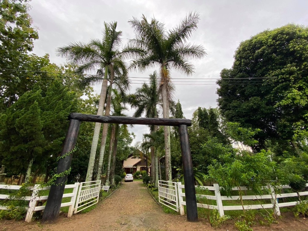 For Rent - ให้เช่าบ้านเนื้อที่1ไร่  เลี้ยงสัตว์ได้  4ห้องนอน(แอร์) 2ห้องน้ำ   1ห้องโถง  ลานหน้าบ้านกางเต็นท์ได้  ติดแม่น้ำปิง บ้านสบแฝกอ.สันทราย เชียงใหม่  – รูปที่ 3