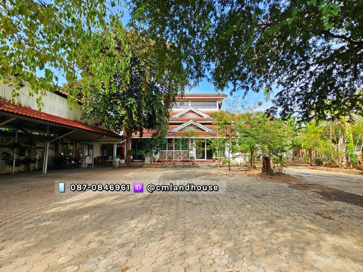ขายที่ดิน 1 ไร่ อ.เมือง แถมบ้าน 3 หลัง ใกล้สนามบิน 5 กม. ใกล้เซ็นทรัลแอร์พอร์ต 4 กม. รีโนเวททำวิลล่าหรือพูลวิลล่า หรือ สร้างคอนโด อพาร์ทเม้นท์