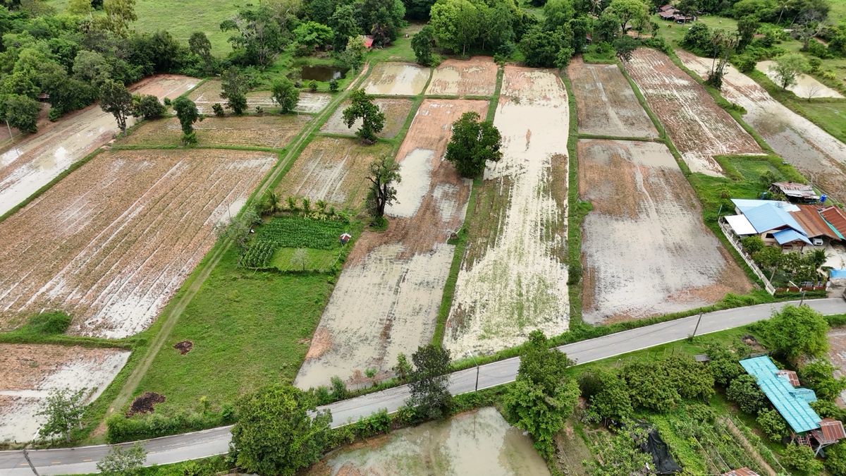 Beautiful plot of land for 5 rai 2 ngan 76.0 sq.w., Muang District, Maha Sarakham Province, near the community In the future, there will be a pair of pair of Ban Phai-Nakhon Phanom Railway Station. Beautiful plot of land for 5 rai 2 ngan 76.0 sq.w., Muang District, Maha Sarakham Province, near the community In the future, there will be a pair of pair of Ban Phai-Nakhon Phanom Railway Station.