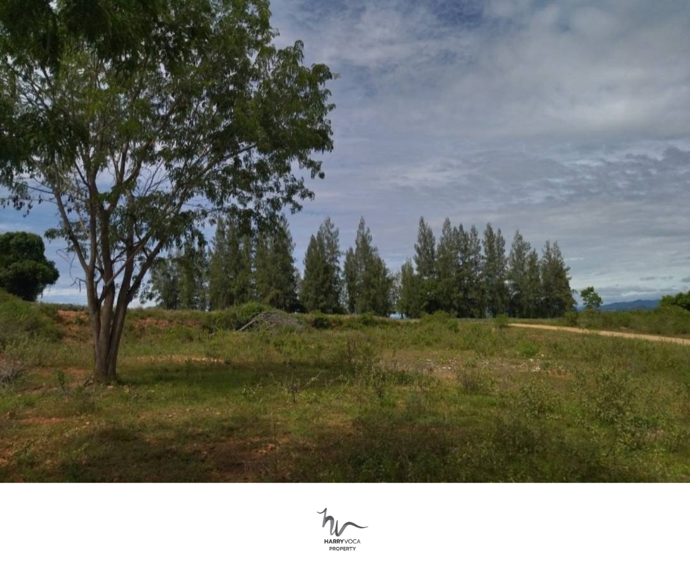 Land for Sale: Beautiful Land Surround by Nature (Property ID: HV L-10) – รูปที่ 2
