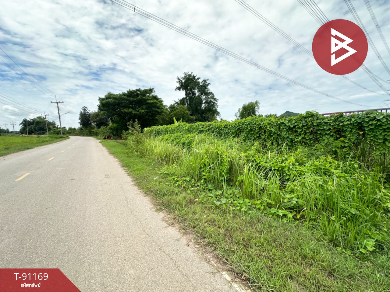 Land for sale with buildings, area of ​​2 rai 2 ngan 84.6 square wah, Photharam Ratchaburi – รูปที่ 4