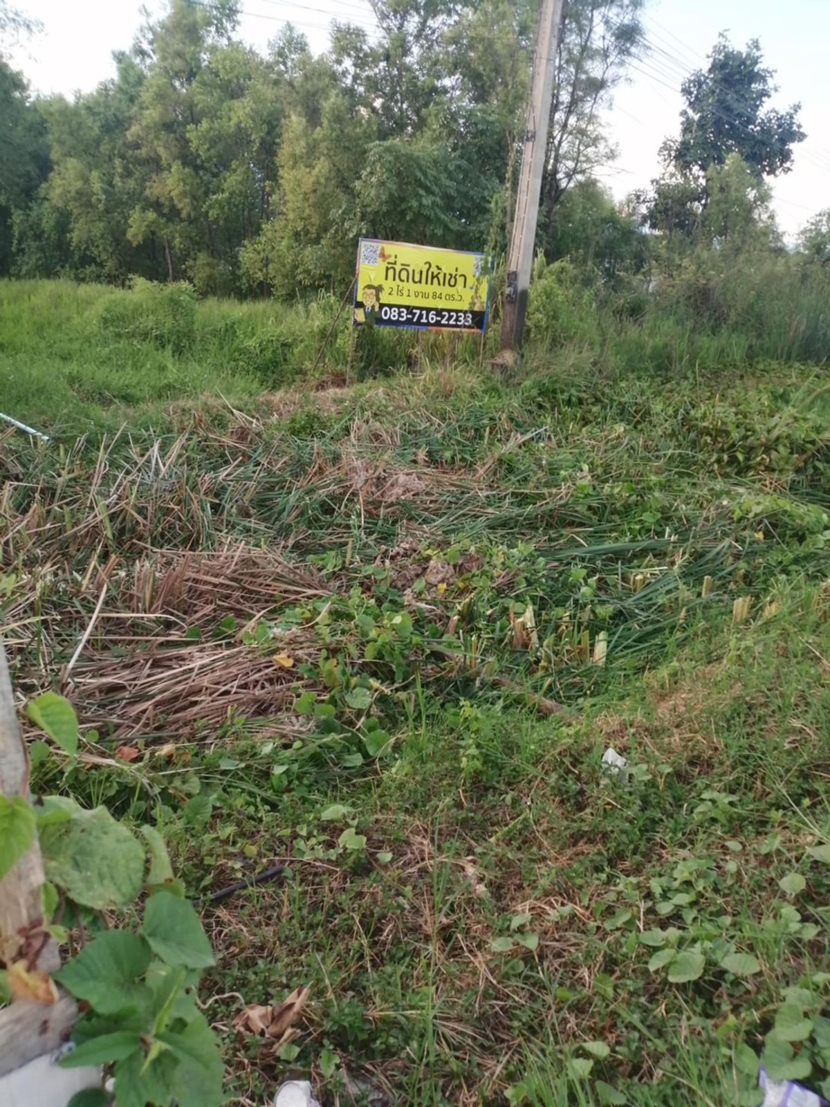 Vacant land for rent, very good location, attached to the city around Chiang Mai, Ton Pao Subdistrict, Sankampang District Suitable for opening 🍛 Restaurant, ☕️ Cafe in the garden, 📦 make a famous collection, 👝 Open a shop – รูปที่ 2