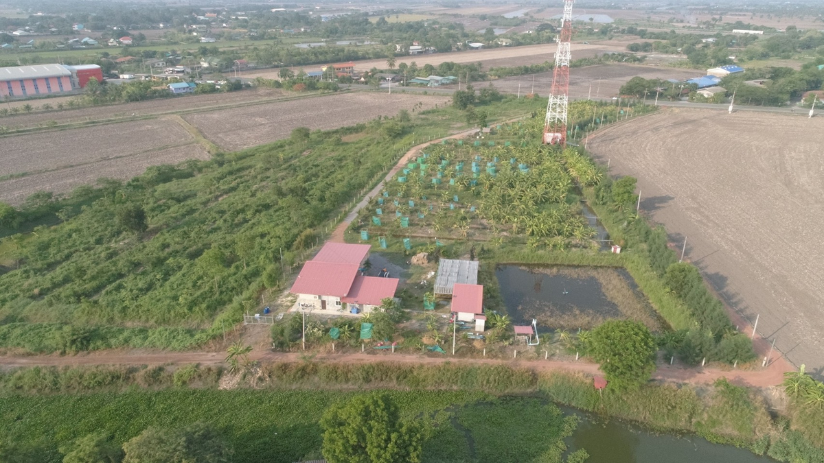 Land for sale of 9 rai 1 ngan 28, Rangwa, 3200 Road, Chachoengsao-Bang Nam Priao With durian garden – รูปที่ 3