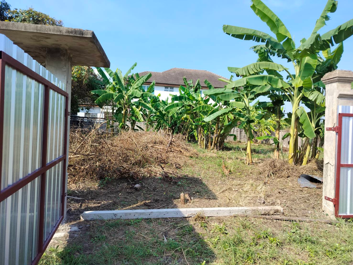 🌿 Land for sale, beautiful house, beautiful plot - Village, Pha Su Suk Soi 7 (corner at the end of the alley) Taling Chan 🌿 🔥 Special price only 6.5 million baht (All in) |! 🔥 🌿 Land for sale, beautiful house, beautiful plot - Village, Pha Su Suk Soi 7 (corner at the end of the alley) Taling Chan 🌿 🔥 Special price only 6.5 million baht (All in) |! 🔥
